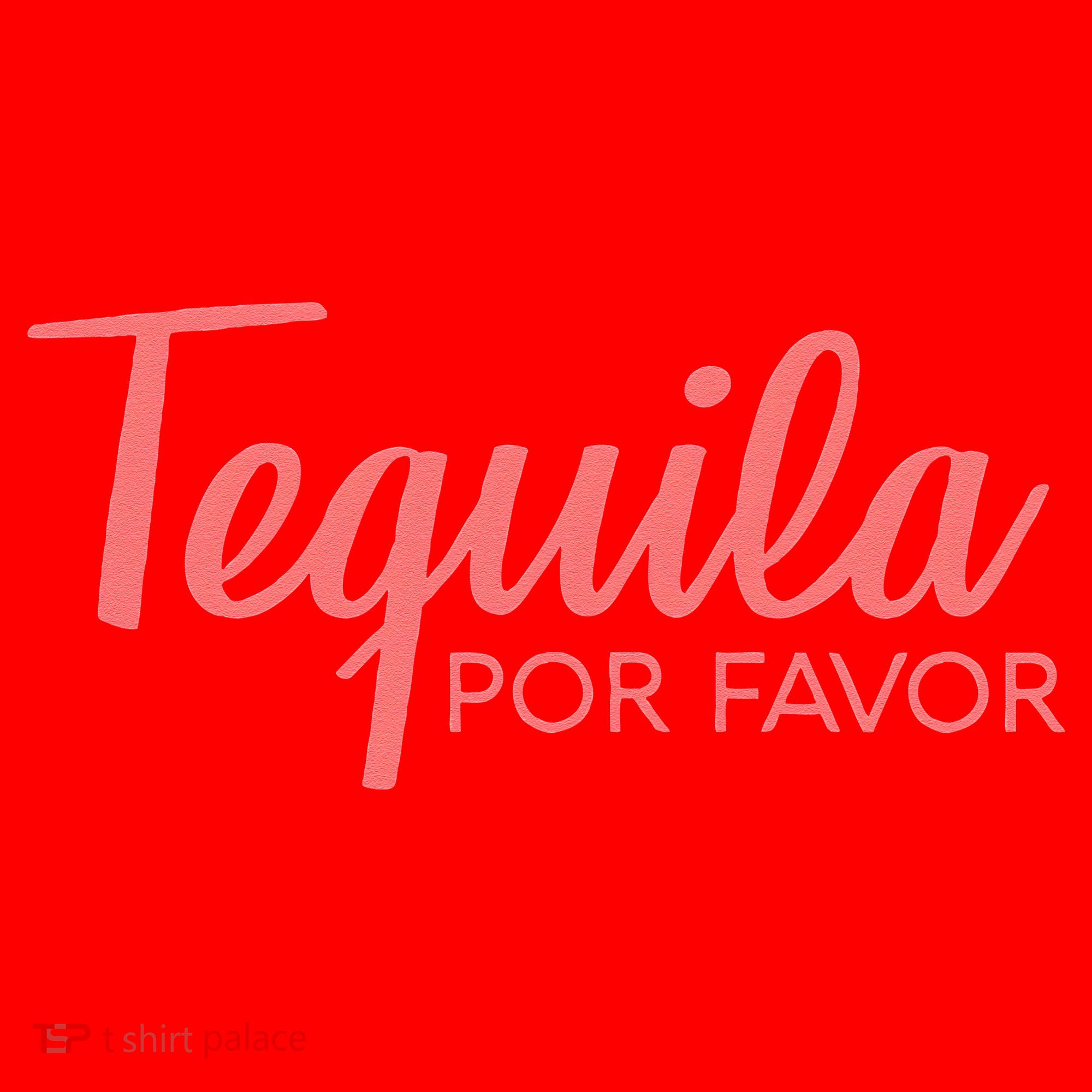 Womens TEQUILA POR FAVOR Cinco De Mayo Drinking Tee Santa Hat