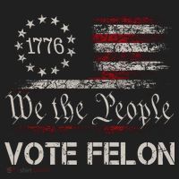 We The People Vote Felon Funny 1776 Beanie thumb 2