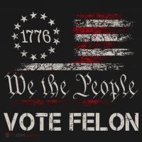 We The People Vote Felon Funny 1776 Visor thumb 3