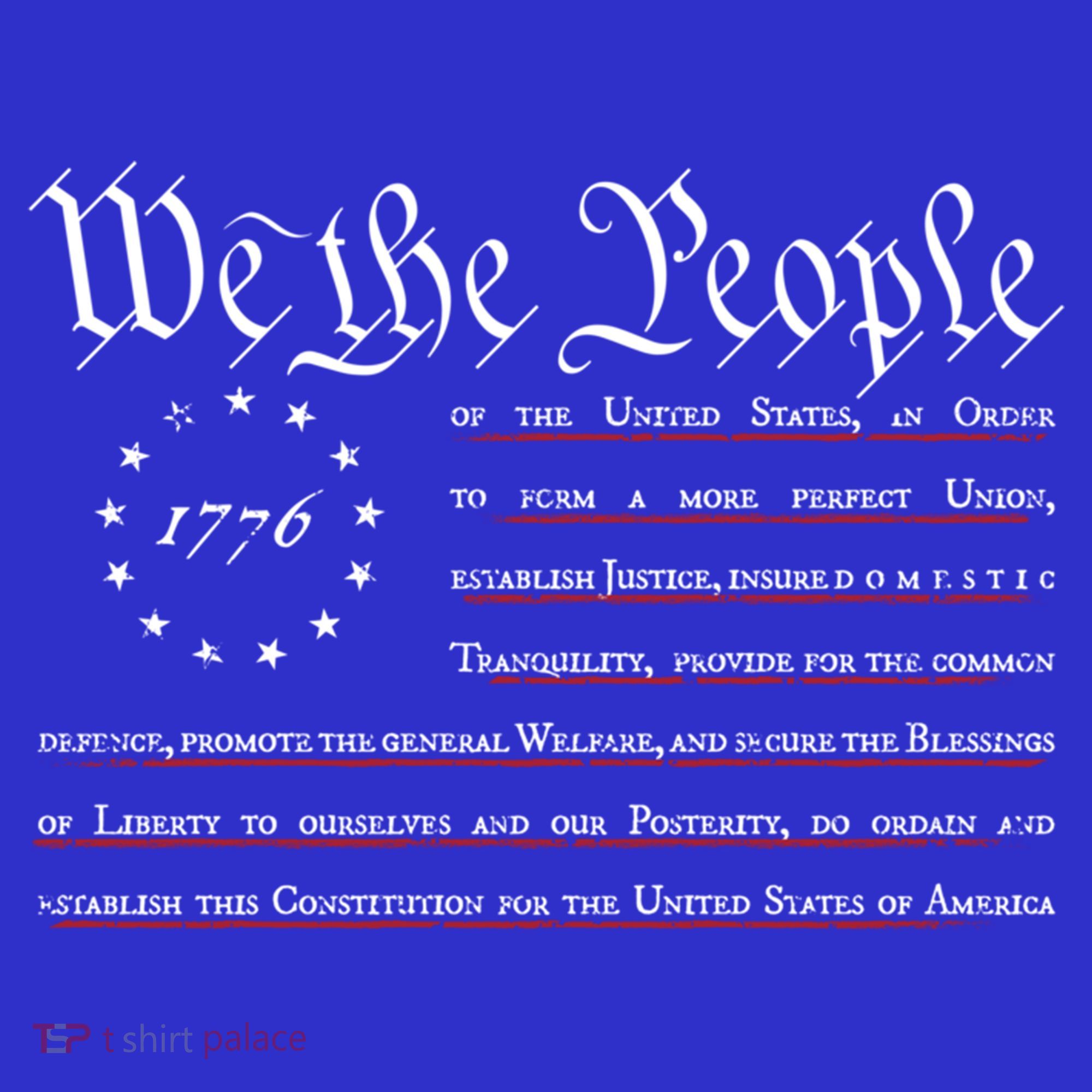 We The People Betsy Ross Flag Preamble Of The Constitution Gift Long Sleeve Shirt