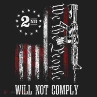 We The People Will Not Comply Ar15 Progun Rights 2a Women's Sweatshirt thumb 2