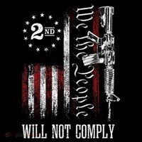We The People Will Not Comply Ar15 Progun Rights 2a Women's Hoodie thumb 2