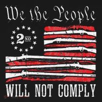 We The People Will Not Comply Progun Rights 2nd Amendment Backpack thumb 2