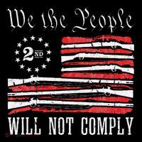 We The People Will Not Comply Progun Rights 2nd Amendment Coaster thumb 2