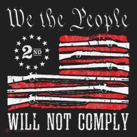We The People Will Not Comply Progun Rights 2nd Amendment Tumbler thumb 3