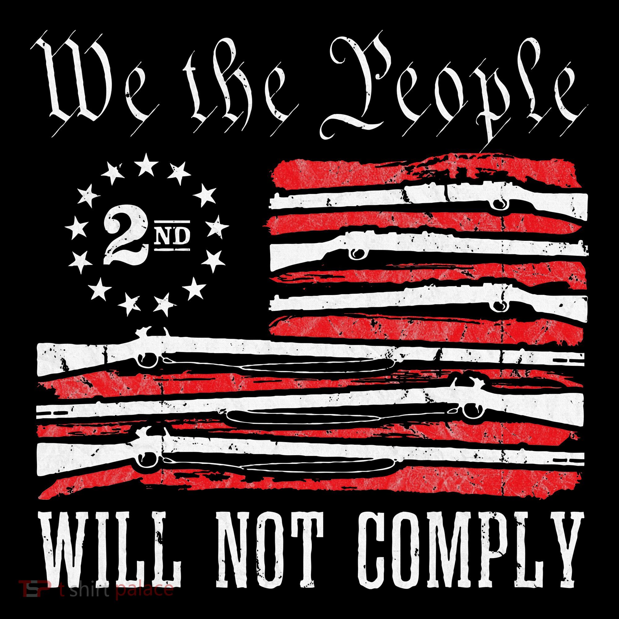 We The People Will Not Comply Progun Rights 2nd Amendment Women's Long Sleeve Shirt