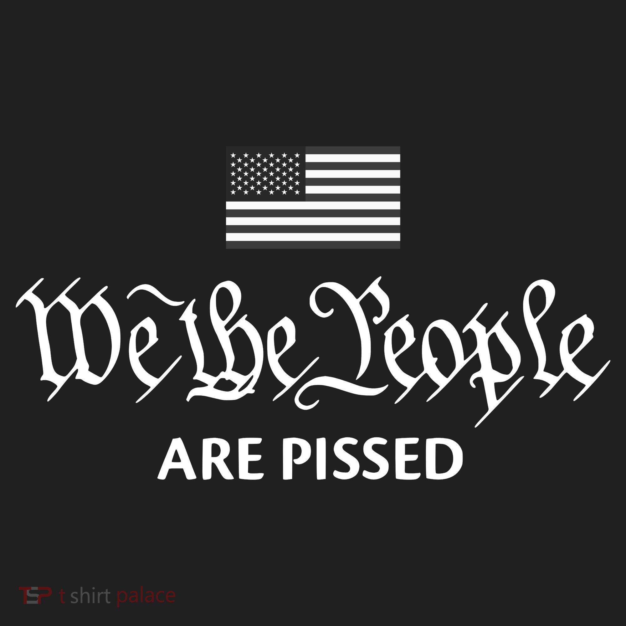 We The People Are Pissed Preamble Constitution Political Beanie