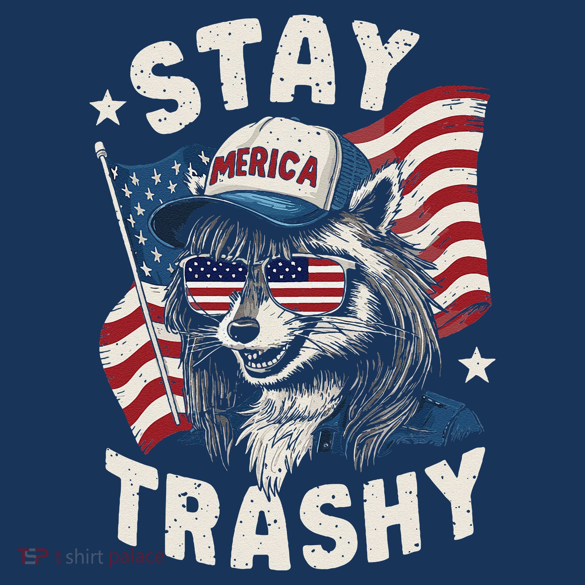 White Trash Party Attire Redneck Raccoon Stay Trashy Usa Women's Hoodie