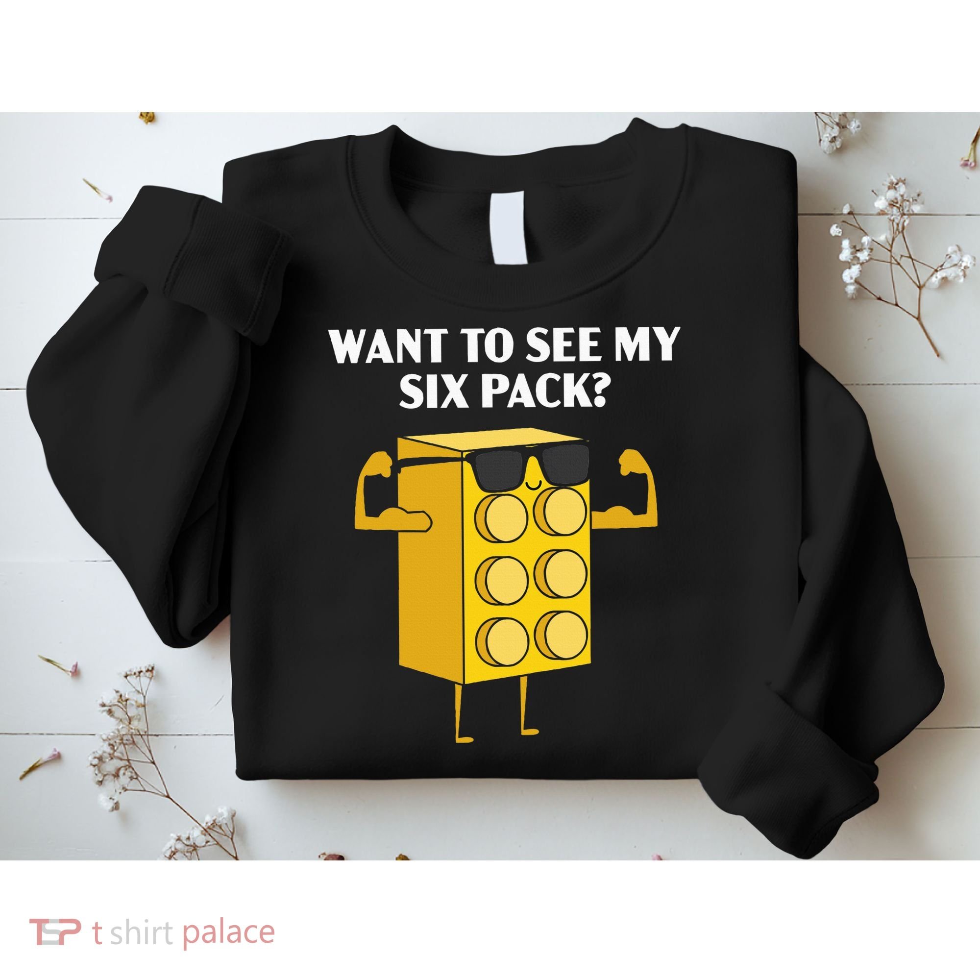 Want To See My Six Pack Bricks Lover Master Builder Sweatshirt