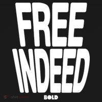 Who The Son Sets Free Free Indeed Bold Toddler Hoodie thumb 2