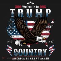 Welcome To Trump Country Usa Bald Eagle Ornament thumb 1