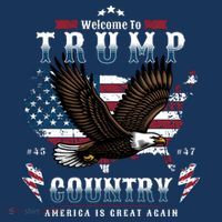 Welcome To Trump Country Usa Bald Eagle T-Shirt thumb 7