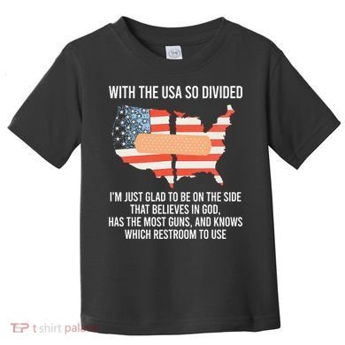 With The Usa So Divided America Flag Toddler T-Shirt