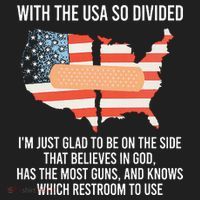 With The Usa So Divided America Flag Hat thumb 2