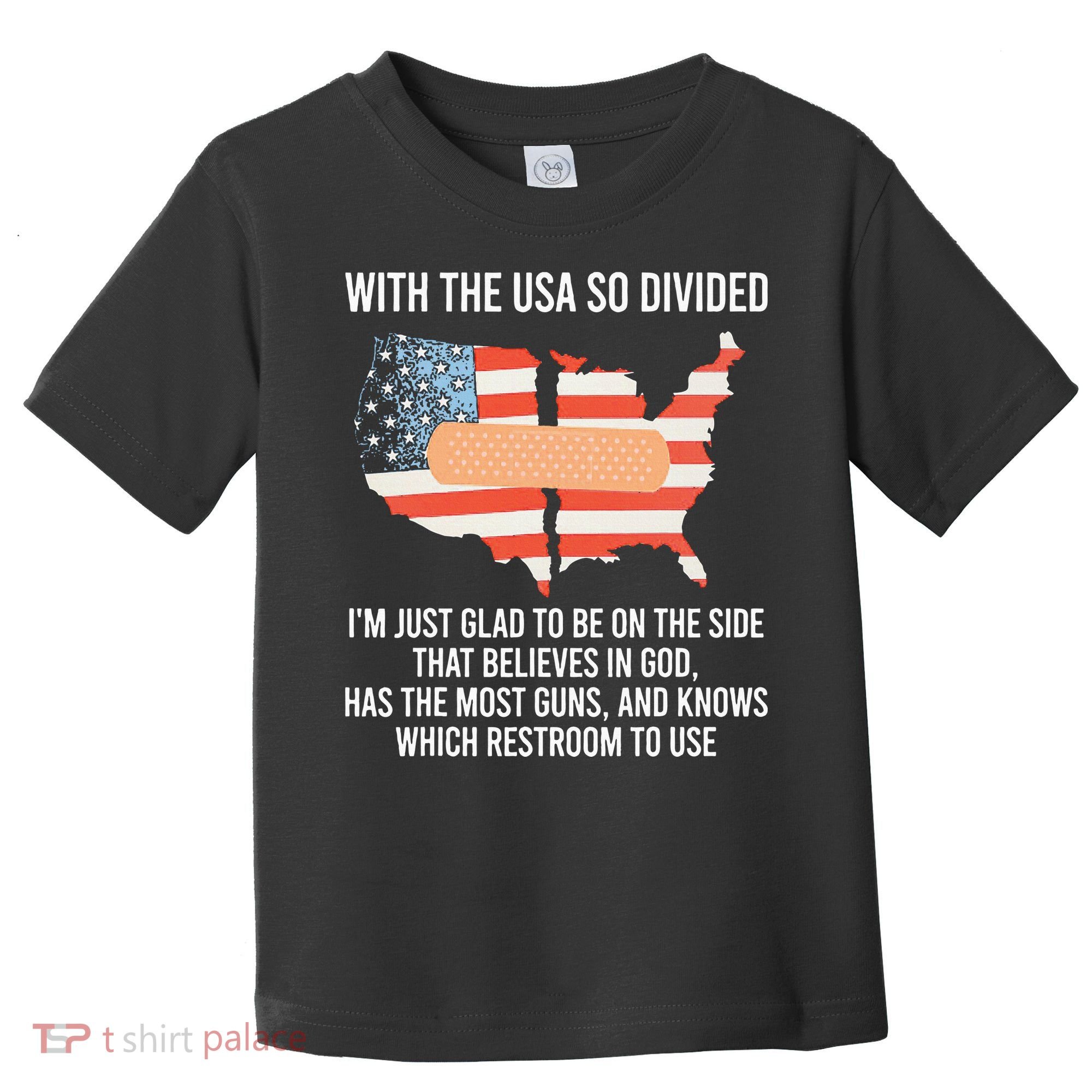 With The Usa So Divided America Flag Toddler T-Shirt