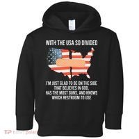 With The Usa So Divided America Flag Toddler Hoodie thumb 0