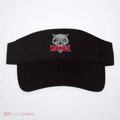 Visor