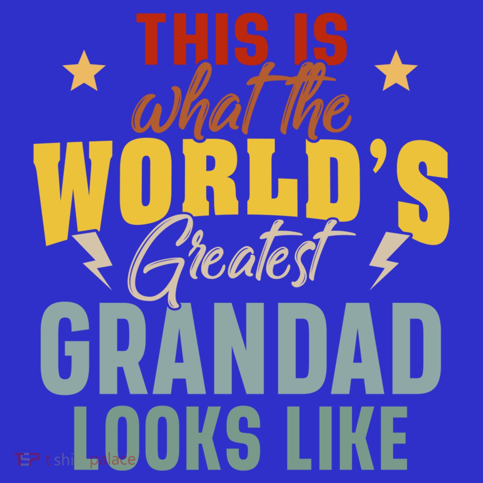 What The WorldS Greatest Grandad Looks Like Fathers Day Gift Hoodie