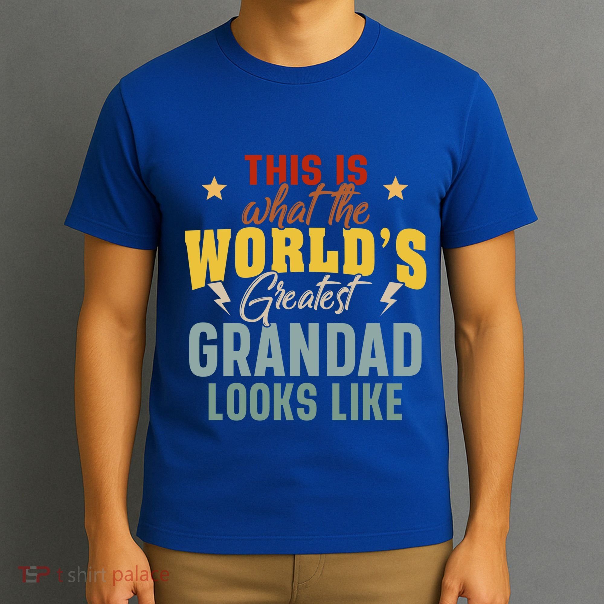 What The WorldS Greatest Grandad Looks Like Fathers Day Gift T-Shirt