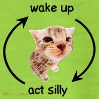 Wake Up Act Silly Cat Adult Drive Performance Visor thumb 2