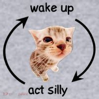 Wake Up Act Silly Cat Women's Sweatshirt thumb 2