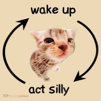 Wake Up Act Silly Cat Meme Tote Bag thumb 4