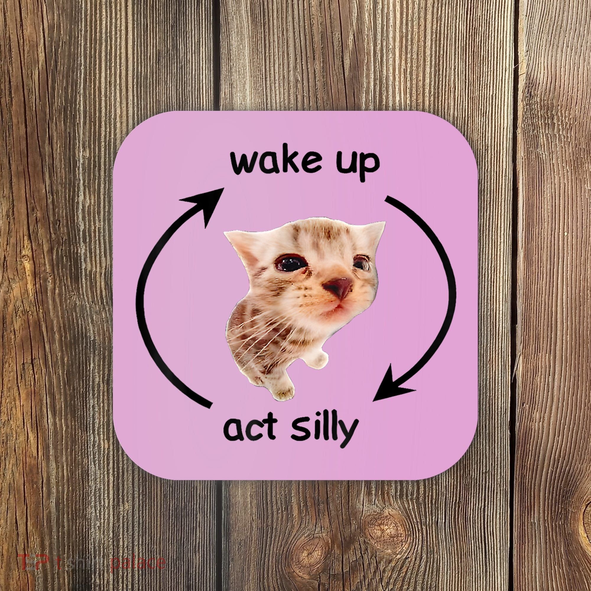 Wake Up Act Silly Cat Meme Coaster