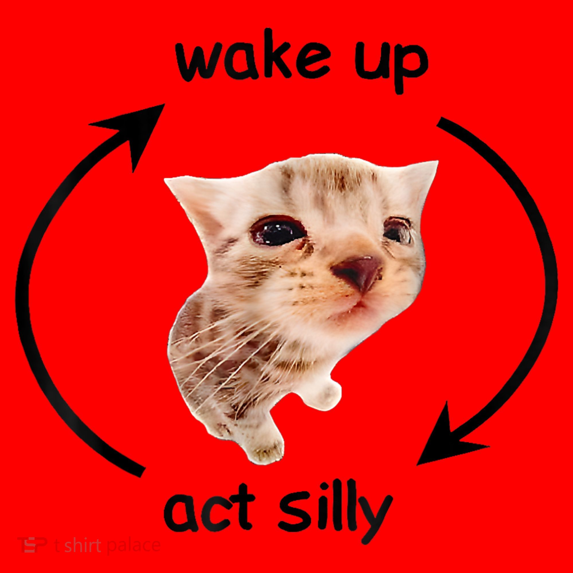 Wake Up Act Silly Cat Meme Santa Hat