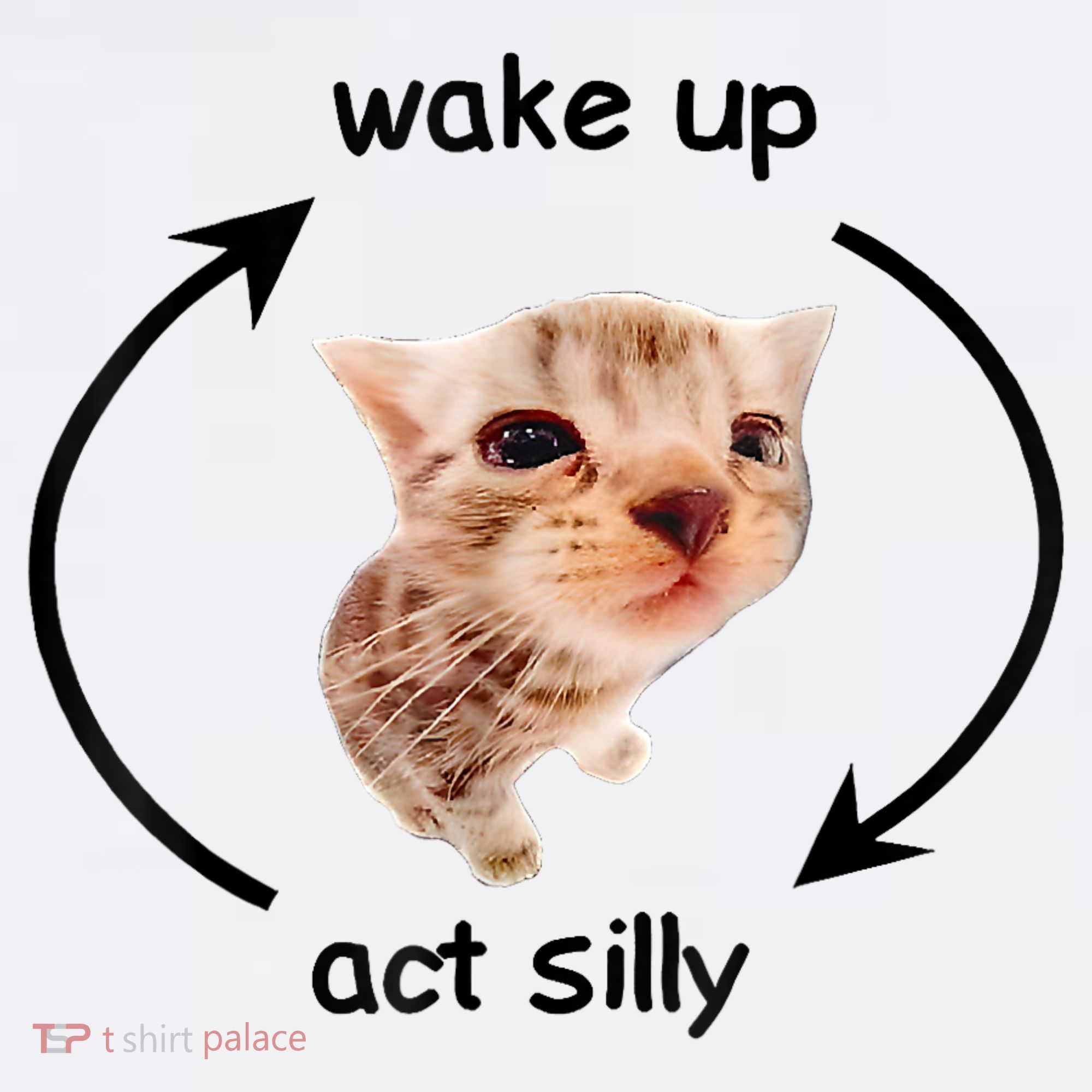 Wake Up Act Silly Cat Meme Women's Hoodie