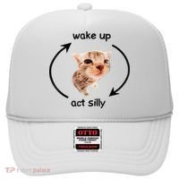 Wake Up Act Silly Cat Meme Hat thumb 0
