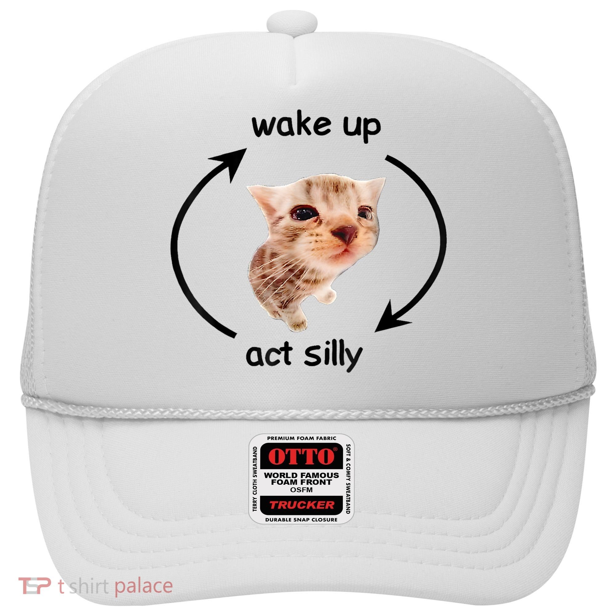 Wake Up Act Silly Cat Meme Hat