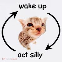 Wake Up Act Silly Cat Meme Visor thumb 3
