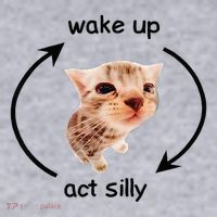 Wake Up Act Silly Cat Wake Up Act Silly Cat Women's Sweatshirt thumb 2