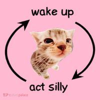 Wake Up Act Silly Cat Wake Up Act Silly Cat Coaster thumb 2