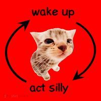 Wake Up Act Silly Cat Wake Up Act Silly Cat Santa Hat thumb 1