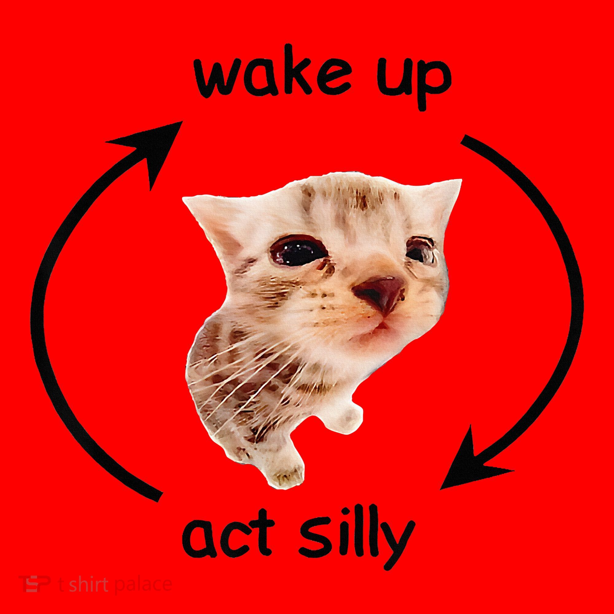 Wake Up Act Silly Cat Wake Up Act Silly Cat Santa Hat
