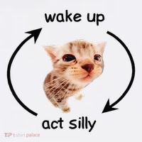 Wake Up Act Silly Cat Wake Up Act Silly Cat Women's V-Neck T-Shirt thumb 4