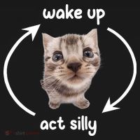 Wake Up Act Silly Cat Wake Up Act Silly Cat Women Hoodie thumb 2