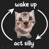 Wake Up Act Silly Cat Wake Up Act Silly Cat Women Beanie thumb 2