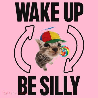 Wake Up Be Silly Repeat Cat Meme Cat Eat Rainbow Candy Coaster