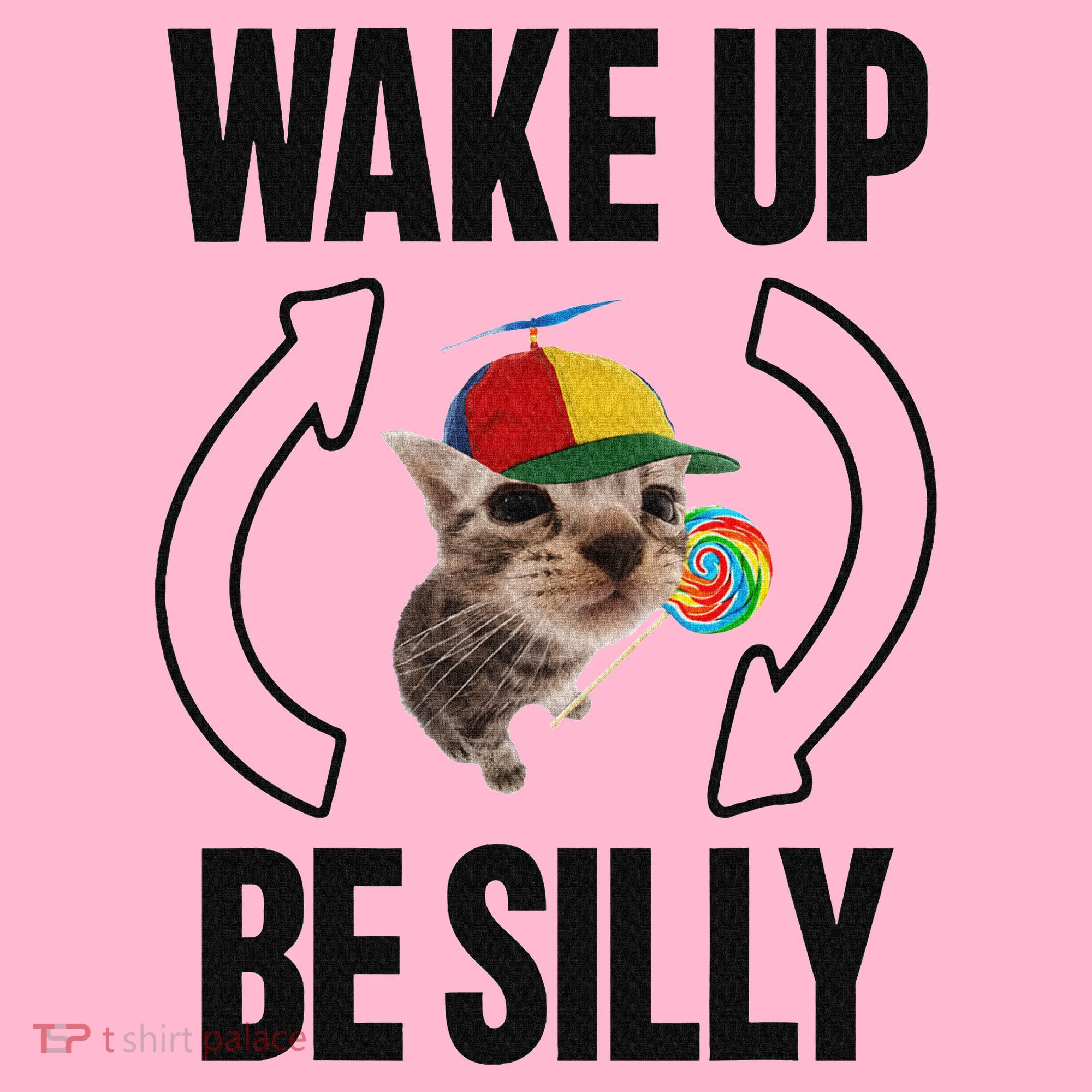 Wake Up Be Silly Repeat Cat Meme Cat Eat Rainbow Candy Coaster
