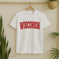 Wisconsin Usa State Wi Varsity Style Vintage Sports Cool Gift T-Shirt thumb 2