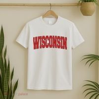 Wisconsin Usa State Wi Varsity Style Vintage Sports Cool T-Shirt thumb 2