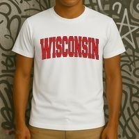 Wisconsin Usa State Wi Varsity Style Vintage Sports Cool T-Shirt thumb 3