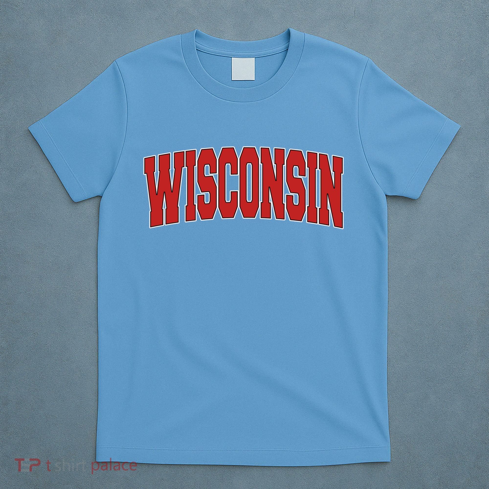 Wisconsin Usa State Wi Varsity Style Vintage Sports Cool Gift T-Shirt