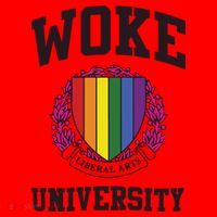 Woke University Santa Hat thumb 1