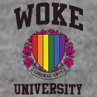 Woke University Toddler Hoodie thumb 2