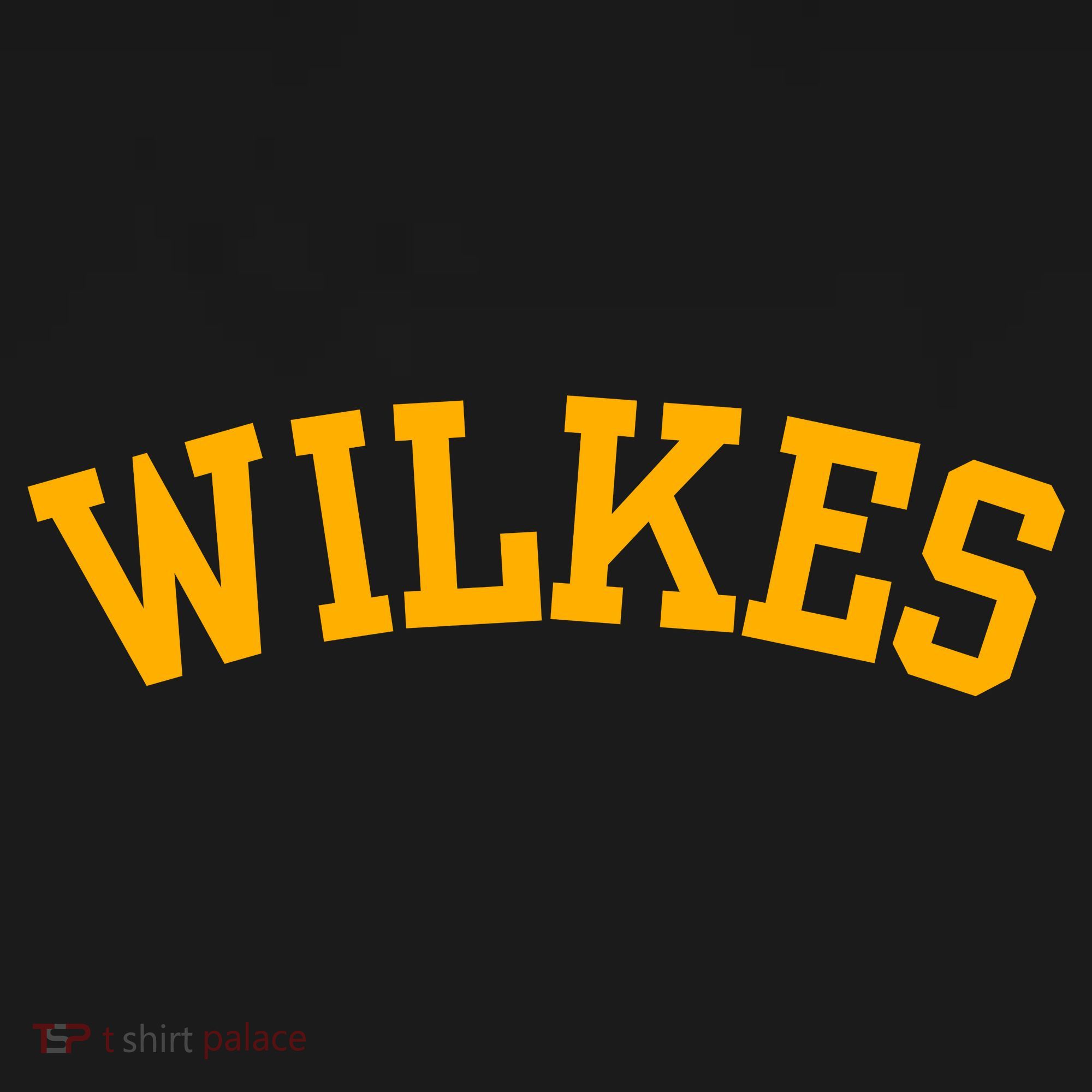Wilkes Vintage Arch University Retro T-Shirt