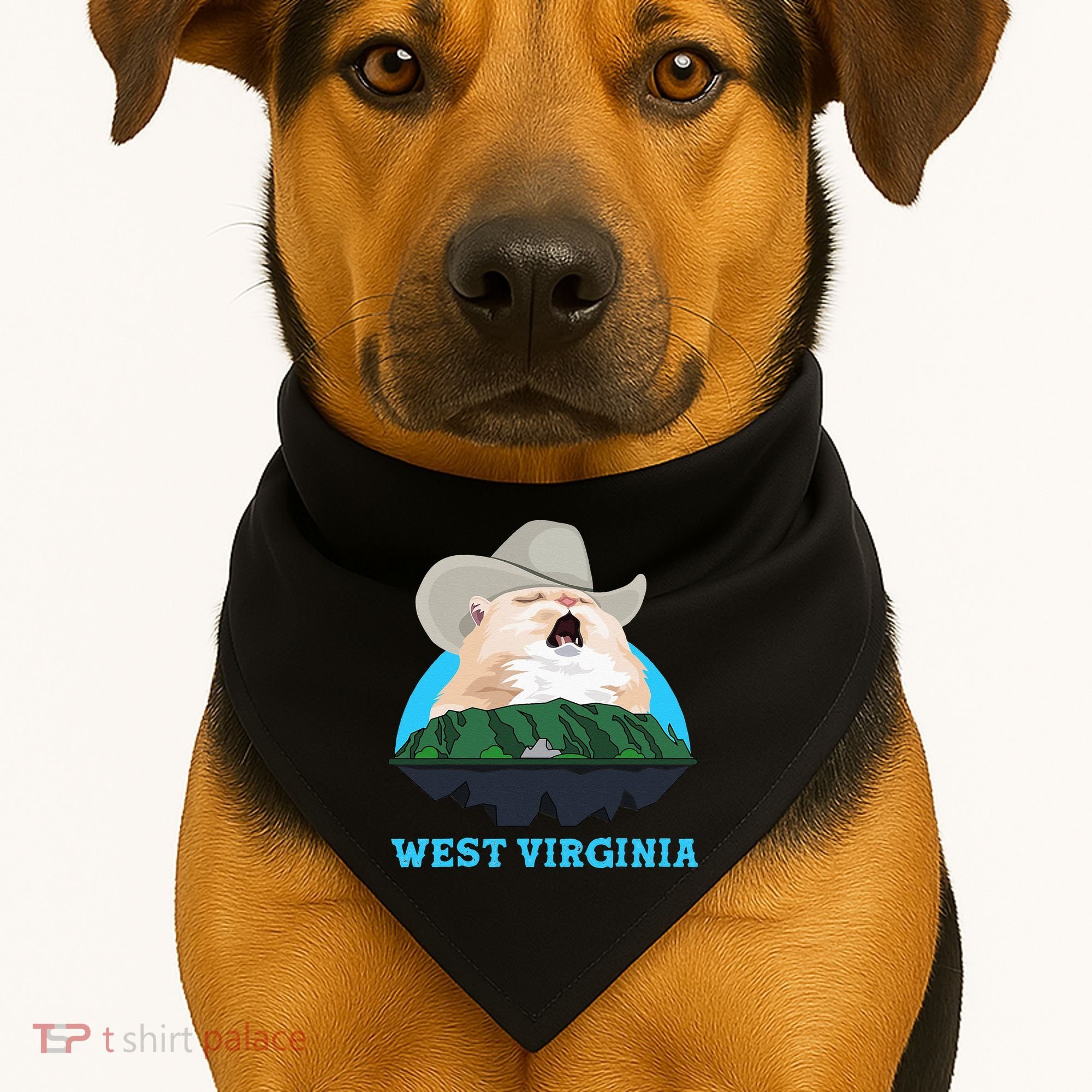 West Virginia Cowboy Cat Singing Meme Meowdy USA-Made Doggie Bandana