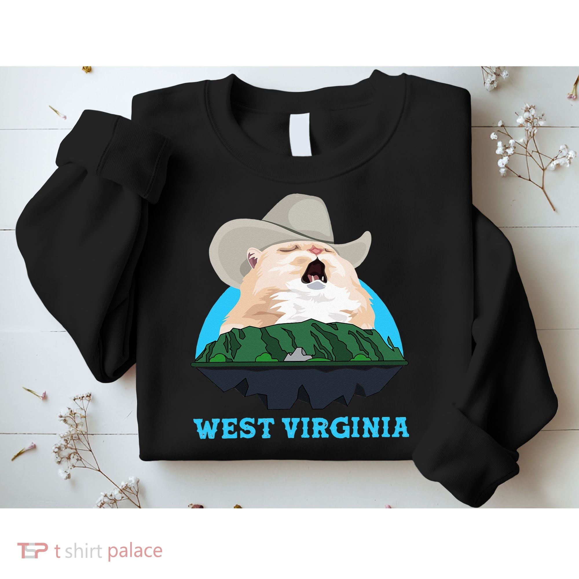 West Virginia Cowboy Cat Singing Meme Meowdy Sweatshirt
